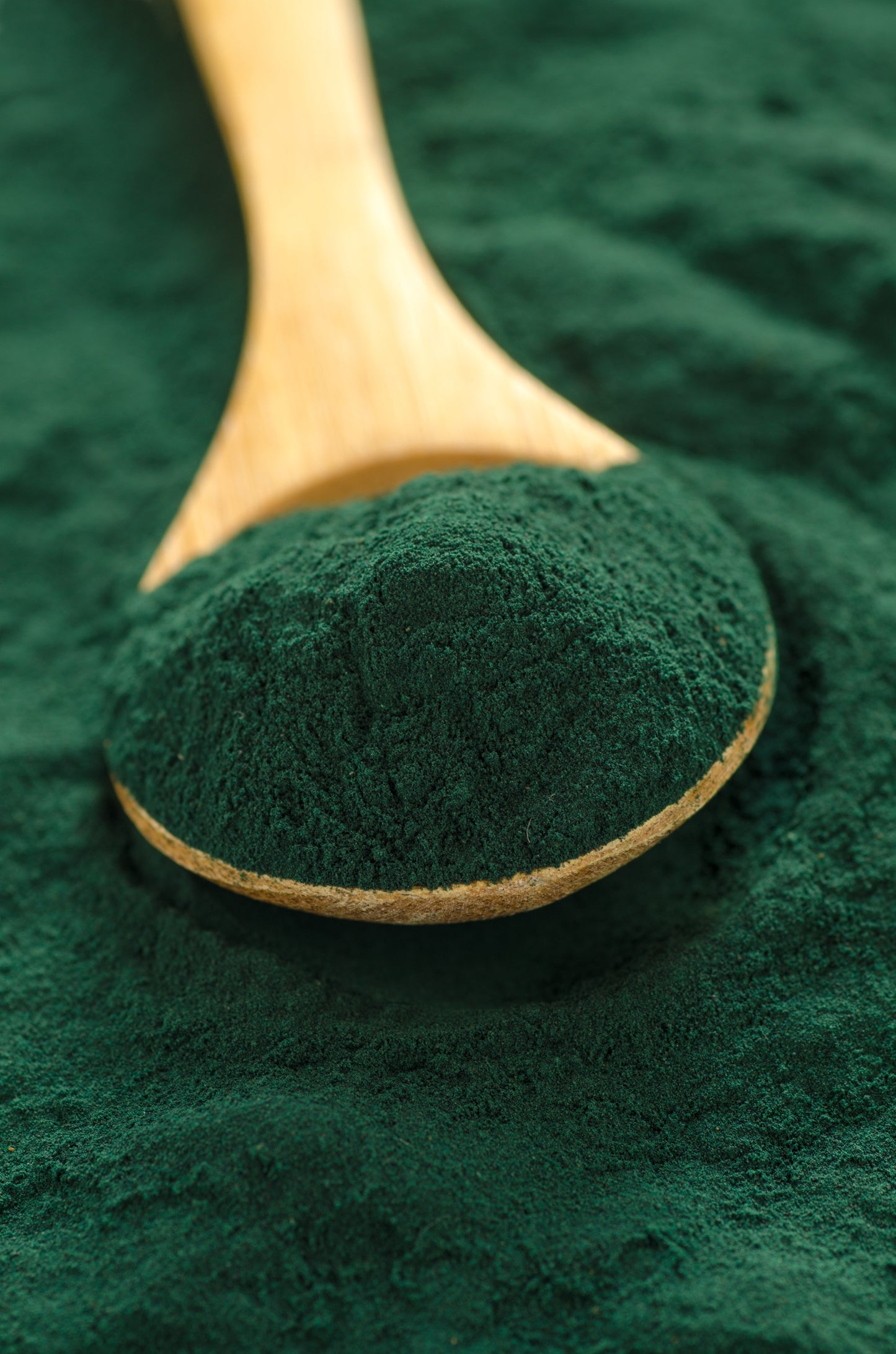 Spirulina Powder