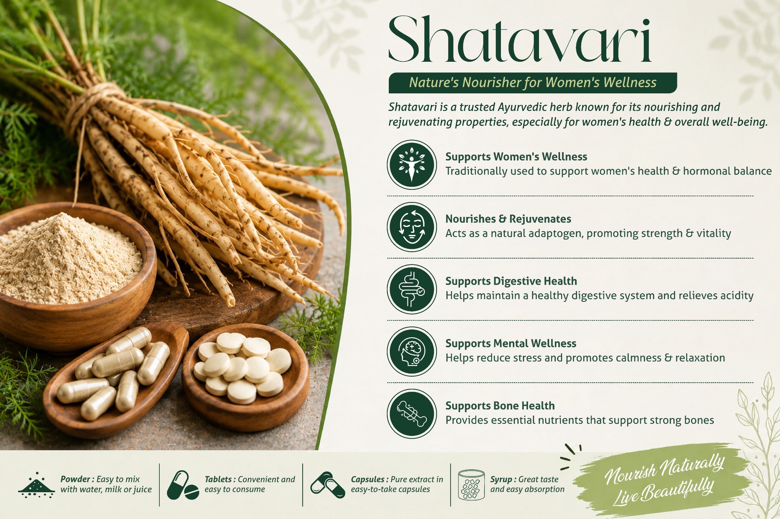Shatavari Benefits: Uses, Nutrition & Wellness Guide