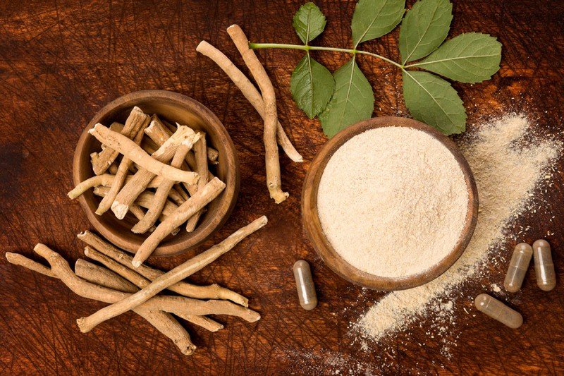Ashwagandha: The Ancient Ayurvedic Herb for Stress, Energy, and Vitality